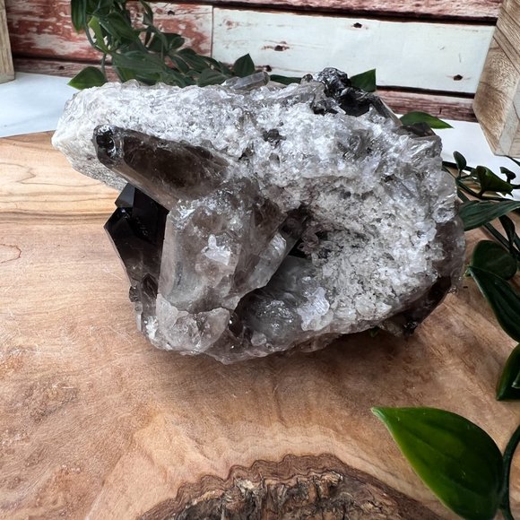 1 lb Double Sided Raw Smoky Quartz Crystal Cluster - A+ Collector Quality - Picture 2 of 13